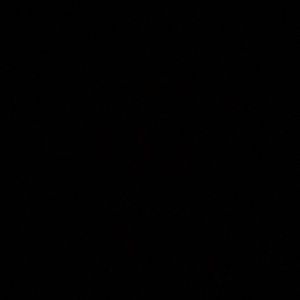 Meet your Posher, Daisy